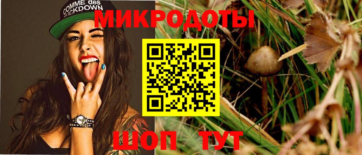 Псилоцибиновые грибы Psilocybe Фролово